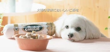 【口コミ】圧倒的な食いつき！！ブッチの評判をチェック！！