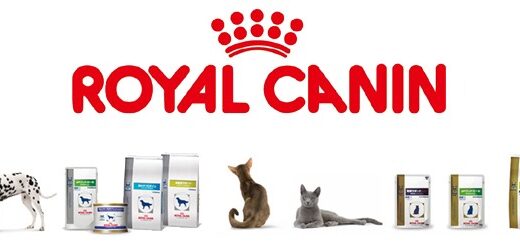 【口コミ】消化器サポート？ロイヤルカナンの評判から食べ方まで徹底解説！！