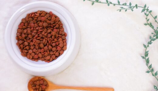 【2024年4月】おすすめのグレインフリードッグフード10選