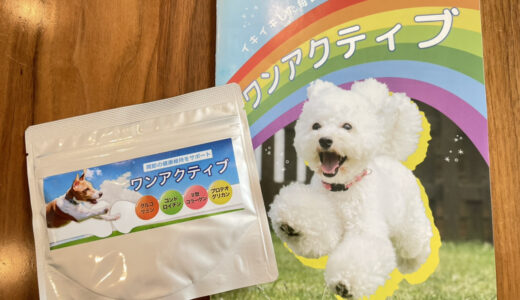 【口コミ】ワンアクティブの使い方から評判まで徹底解説！！