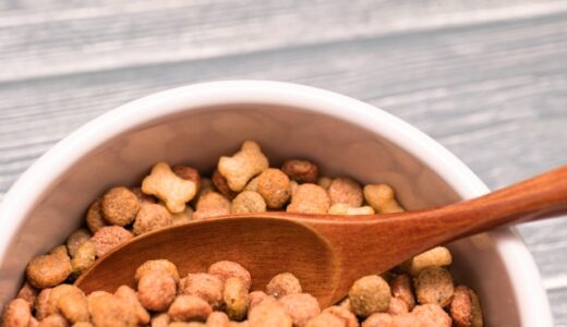 【2024年4月】ペット臭を除去できるおすすめ空気清浄機10選