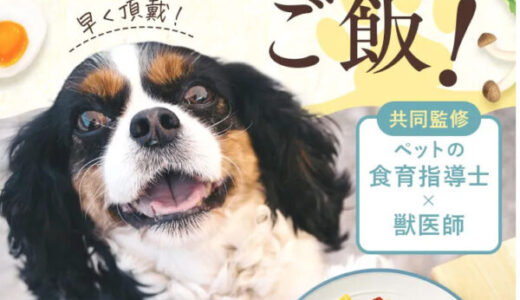 【口コミ】太る？タミーレシピの評価から食べ方まで徹底解説！！