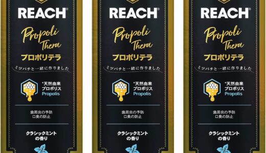 【口コミ】子供用はある？リーチ 歯磨き粉の評判から使い方まで徹底解説！！