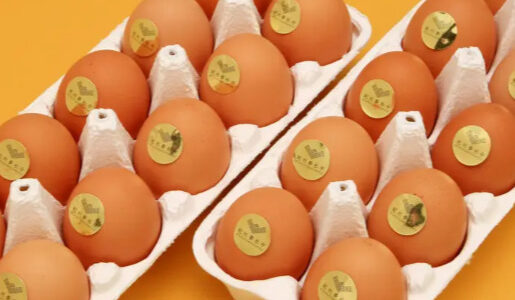 下のソーシャルリンクからフォロー