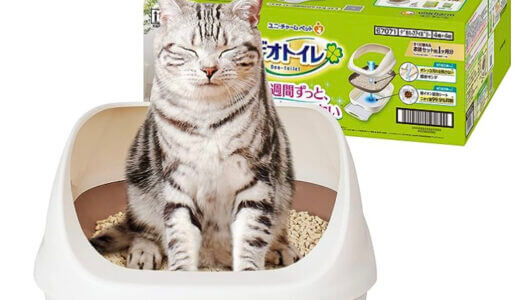 下のソーシャルリンクからフォロー