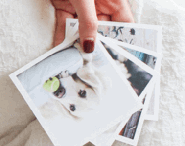 【口コミ】クーポンはある？ビビプリの評判から注文方法まで徹底解説！！