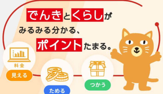 【口コミ】ログイン方法は？カテエネの評判から申し込み方法まで徹底解説！！