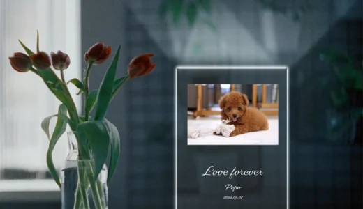 下のソーシャルリンクからフォロー