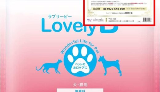 【口コミ】解約方法は？ラブリービーの評判から使い方まで徹底解説！！