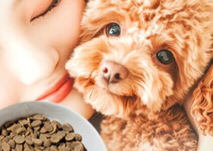 【口コミ】お試しできる？金の旨味の評判から与え方まで徹底解説！！