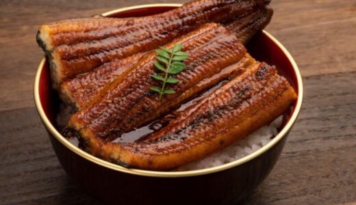 【口コミ】ふるさと納税対象？四万十うなぎの評判から食べ方まで徹底解説！！