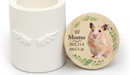 【口コミ】支払い方法は？ペットのしっぽの評判から購入方法まで徹底解説！！