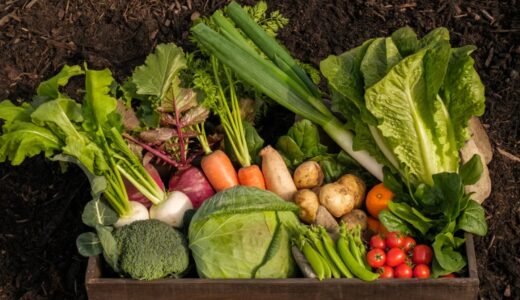 【口コミ】どのくらいで届く？阿波ツクヨミファームの評判から購入方法まで徹底解説！！