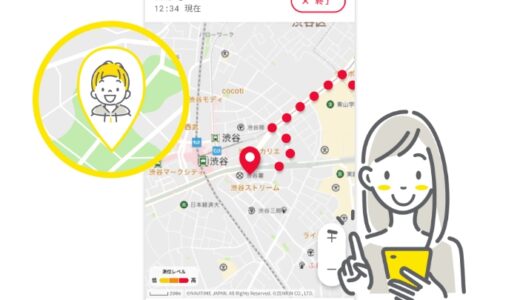 【口コミ】精度が悪い？安心ナビの使い方から解約方法まで徹底解説！！